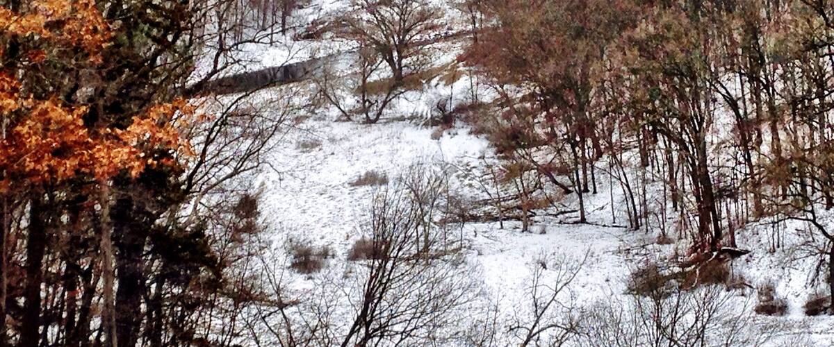 A snow-covered river valley with sparse trees and rocky terrain.