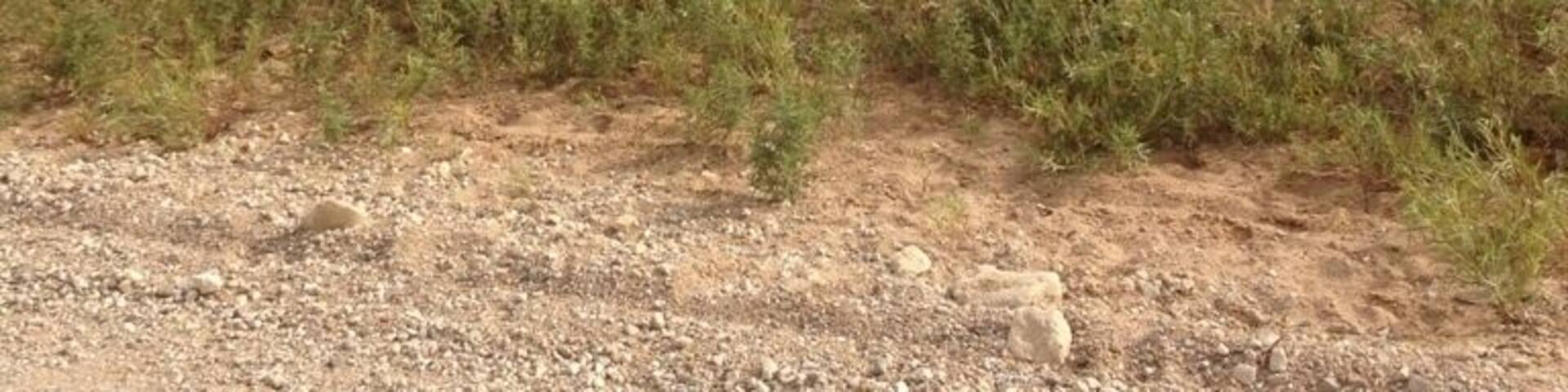 Maxwell Wildlife kansas