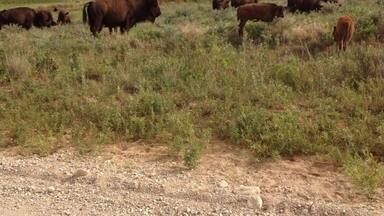 Maxwell Wildlife kansas