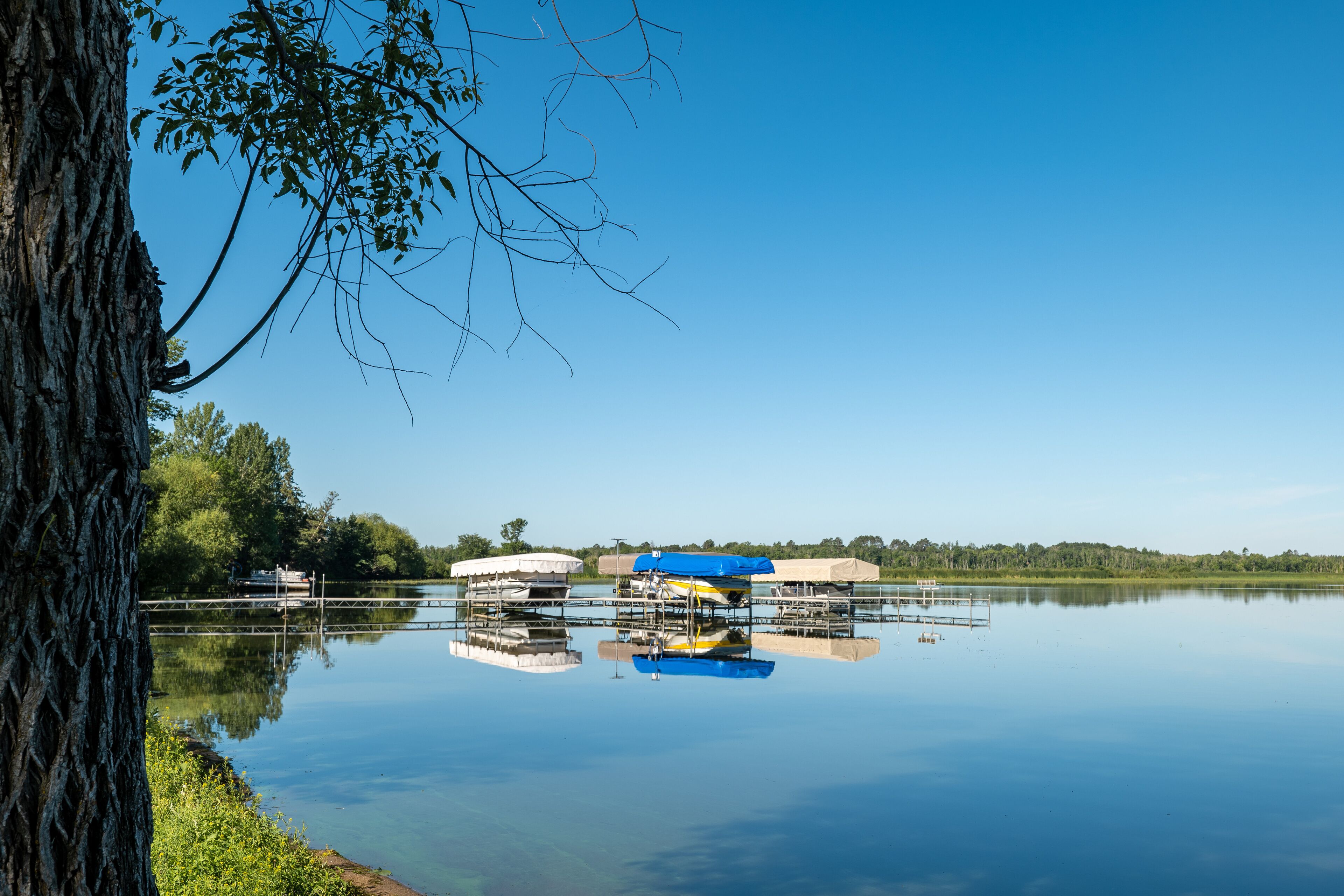 A calm lake with docks and boats, surrounded by trees and a clear sky.