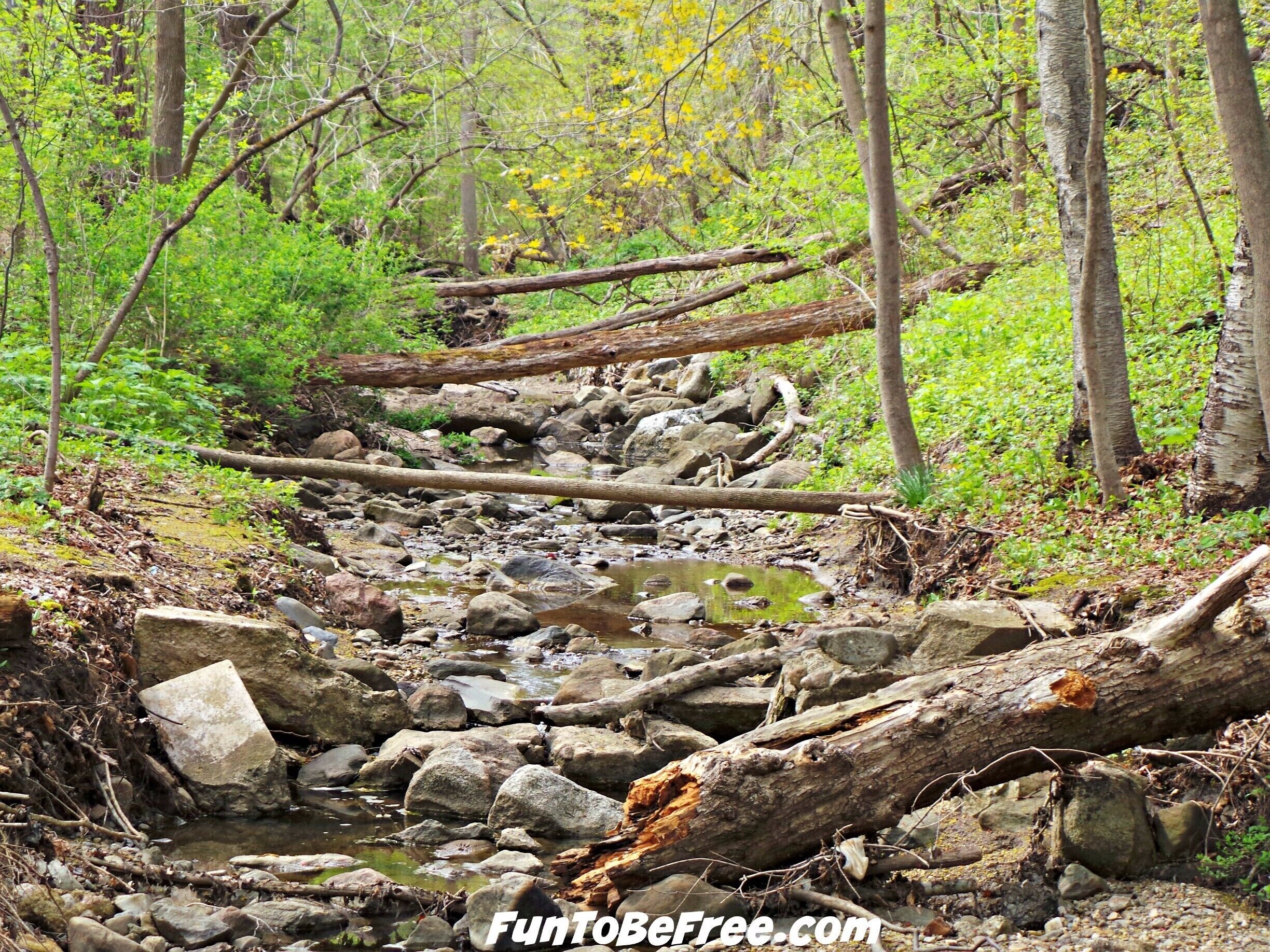 Seven Bridges in Milwaukee is a Beautiful place to get away for the day.