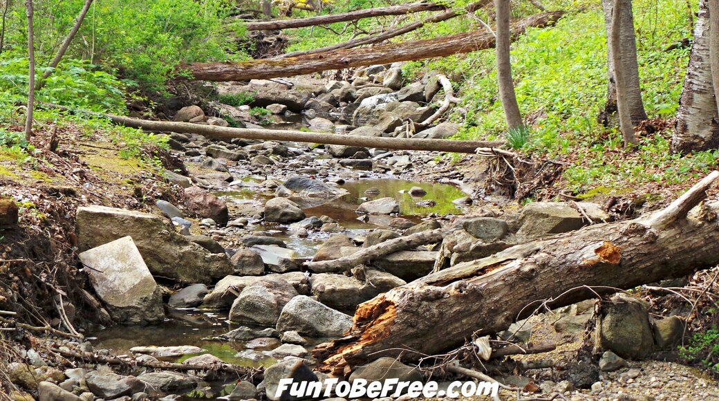 Seven Bridges in Milwaukee is a Beautiful place to get away for the day.