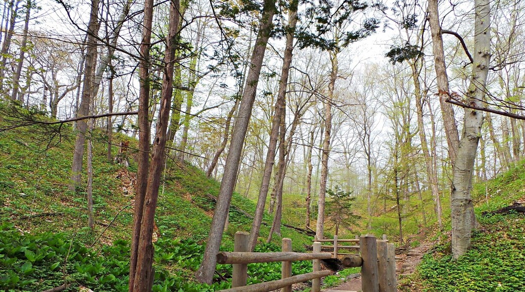 Seven bridges is a great park just to get away for a few hours.