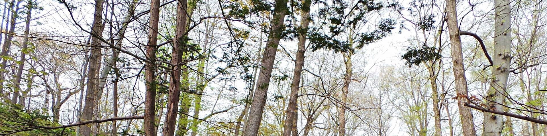 Seven bridges is a great park just to get away for a few hours.