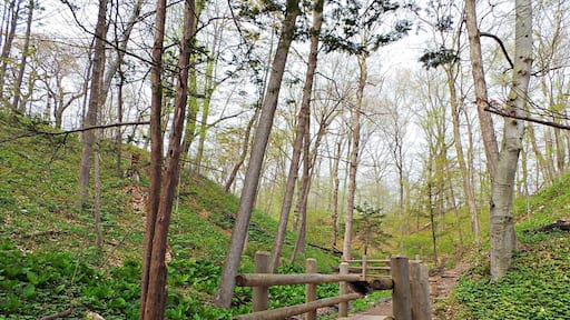 Seven bridges is a great park just to get away for a few hours.