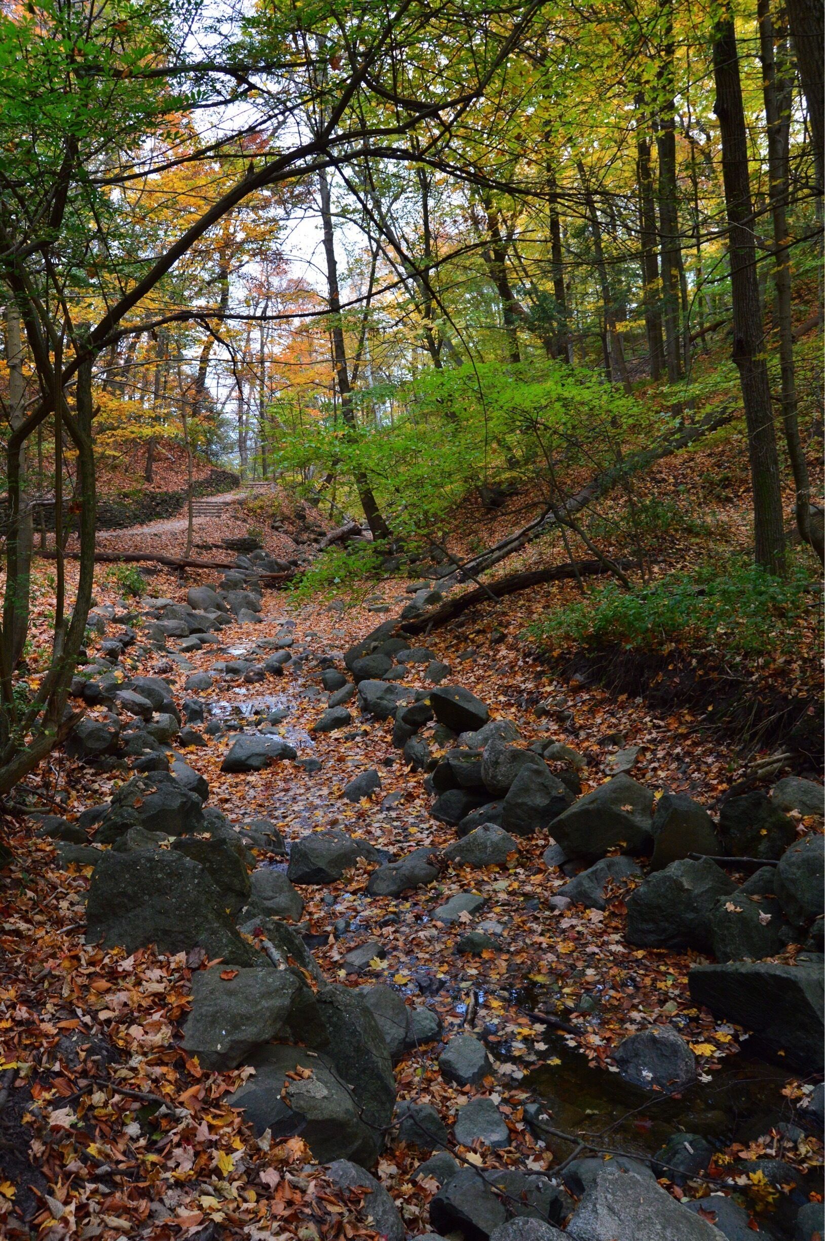 The seven bridges trail in Grant Park is a beautiful place to #TakeAHike. You'd never know there is a big city just a few miles away. The trail hugs the shore of Lake Michigan and feels like you've stepped into a fairytale, especially in the fall! Just one of many of Milwaukee's hidden gems. 