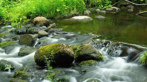 I love this photo because I really didn't want to take a walk that day, but I sensed God wanted me to, so I did. I felt led to go to this spot as it's my favorite spot and there was a couple compositions that I saw, but this is the one I sensed God leading me to take. Everything was His idea. I love it!