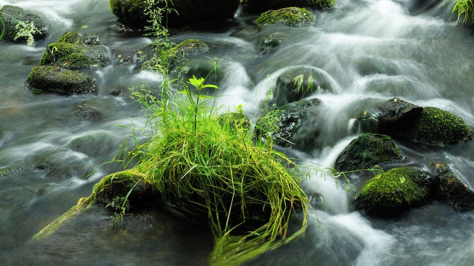 I love this photo because I really didn't want to take a walk that day, but I sensed God wanted me to, so I did. I felt led to go to this spot as it's my favorite spot and there was a couple compositions that I saw, but this is the one I sensed God leading me to take. Everything was His idea. I love it!