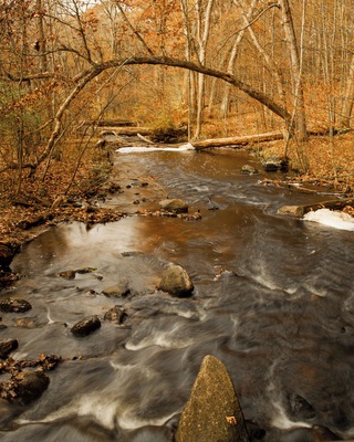The little creek at Siedman Park is so nice and peaceful in every season. There are some small rapids and in some parts branches out to different creeks.