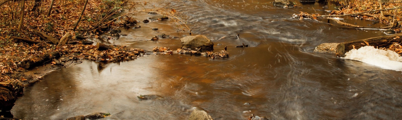 The little creek at Siedman Park is so nice and peaceful in every season. There are some small rapids and in some parts branches out to different creeks.
