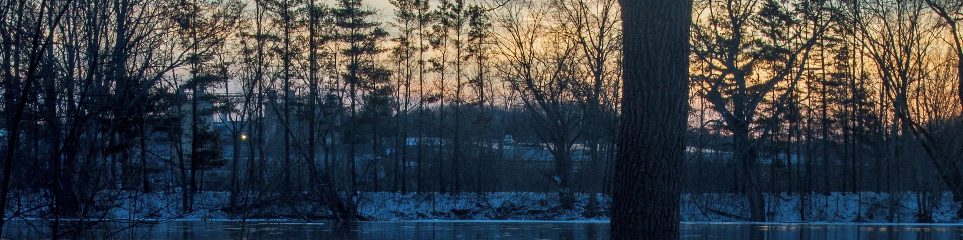 A frozen lake with ice patterns and a tree in the foreground.