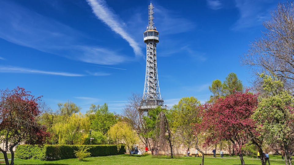 The Eiffel Tower in a park with green grass, trees, and a clear blue sky.