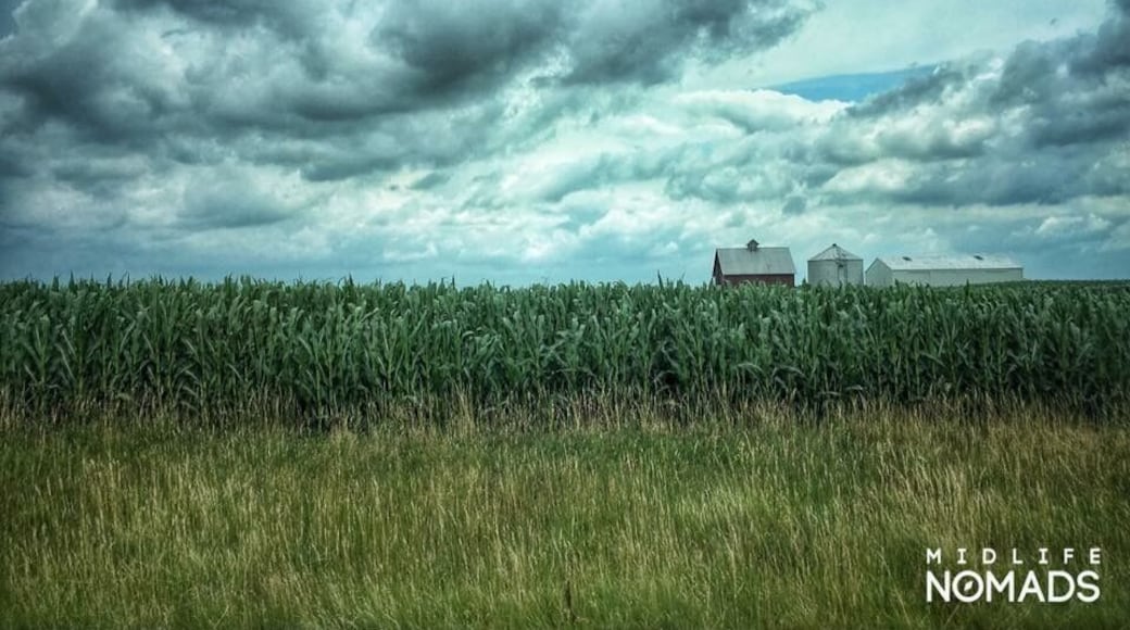 Illinois is the state of corn and soya beans these two crops account for 80% of all agriculture in the state.
Here the weather can change quickly the heat and humidity build and build and can produce fierce rolling thunderstorms that can develop into damaging tornadoes. A good weather app is definitely an advantage when working out you travel plans.