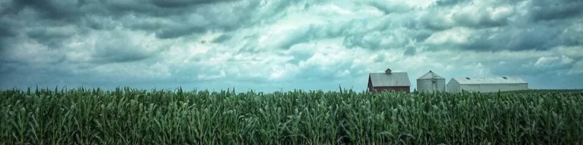 Illinois is the state of corn and soya beans these two crops account for 80% of all agriculture in the state.
Here the weather can change quickly the heat and humidity build and build and can produce fierce rolling thunderstorms that can develop into damaging tornadoes. A good weather app is definitely an advantage when working out you travel plans.