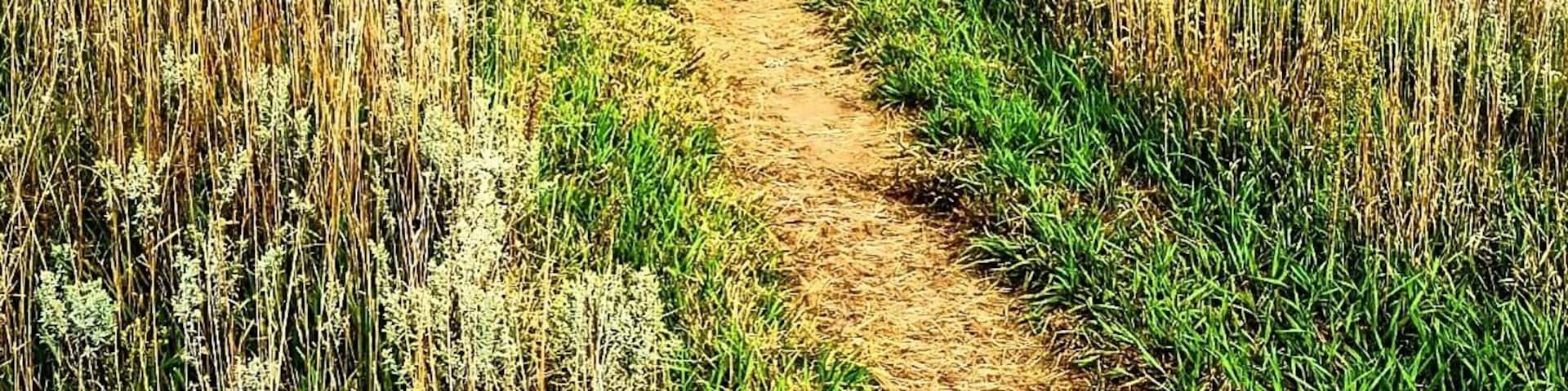 Hell creek On heels trail race at Wilson lake, Kallie's first time there