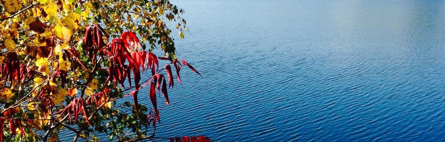 Grab your mountain bike and hit the trails!