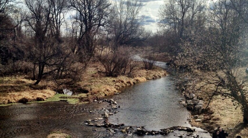 Winter in the Ozarks