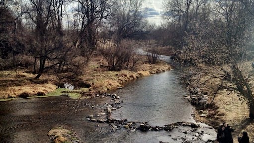 Winter in the Ozarks