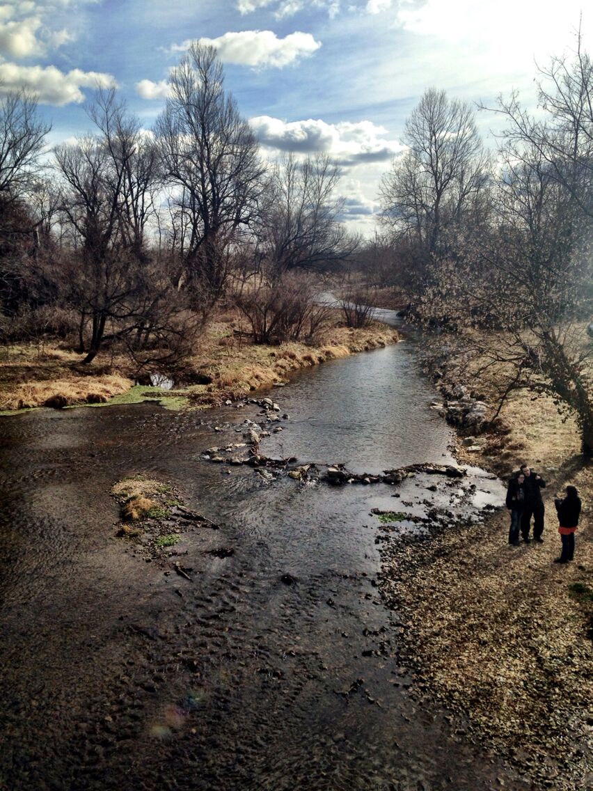 A river with muddy banks, surrounded by leafless trees and a cloudy sky.