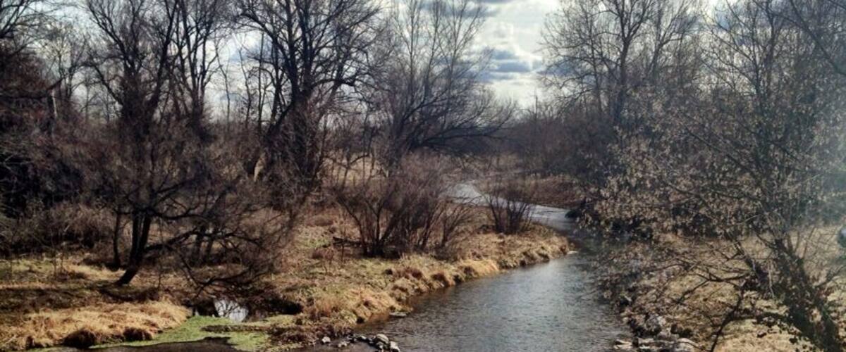 A river with muddy banks, surrounded by leafless trees and a cloudy sky.