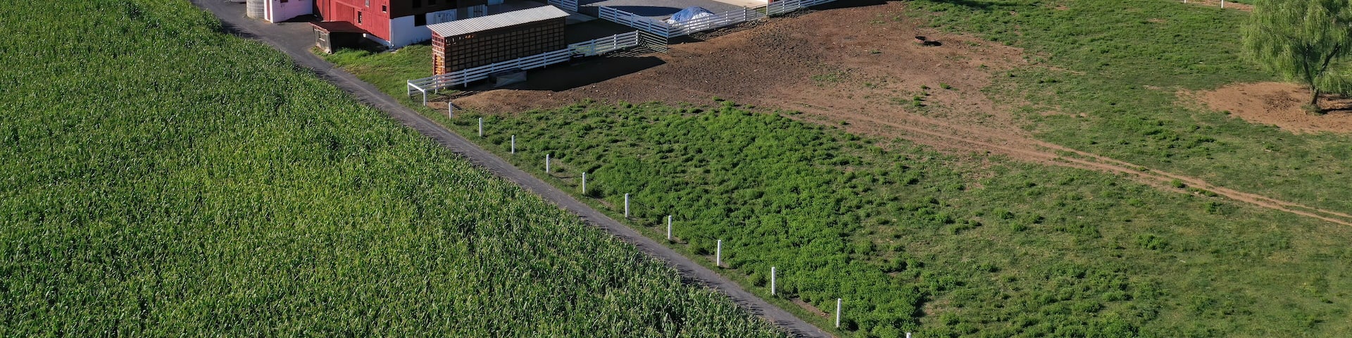 A farm with barns, a silo, and green fields.