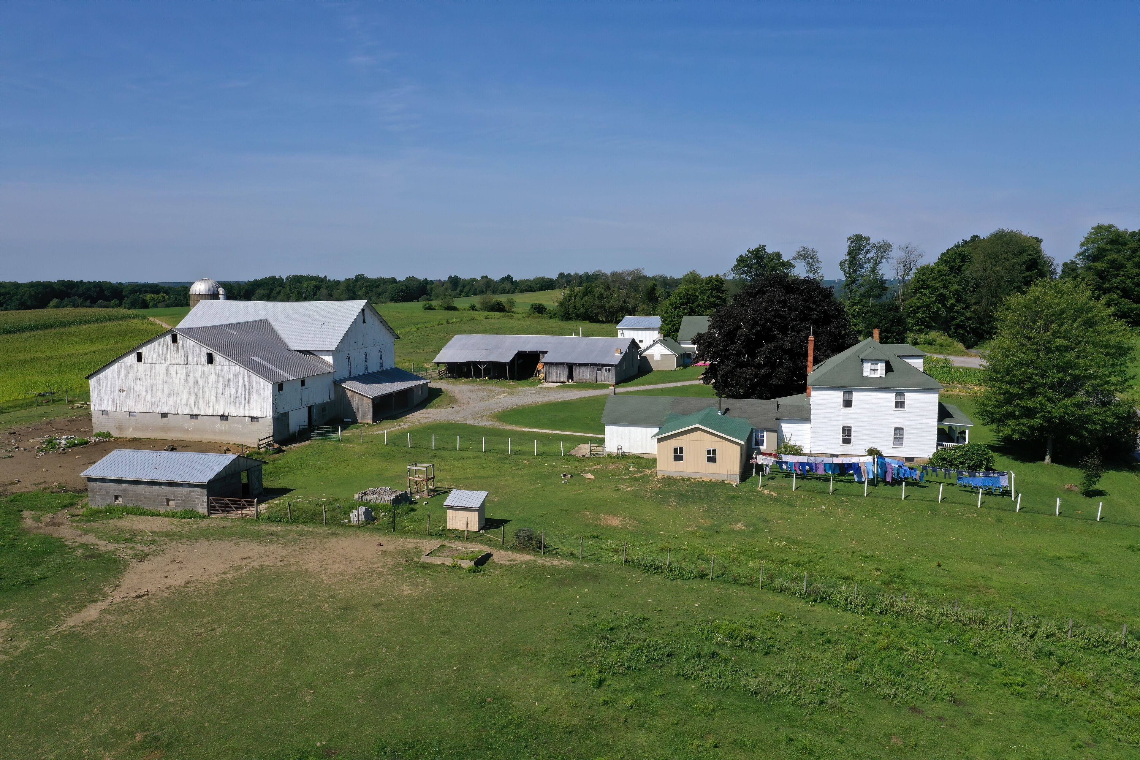 A rural farm with barns, a house, and a large tree.