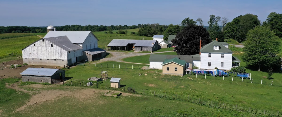 A rural farm with barns, a house, and a large tree.
