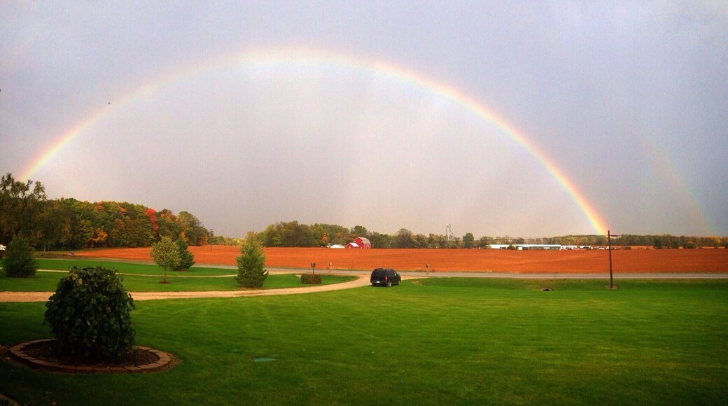 It's possible that a pot of gold may lay on either side of your driveway. #Green