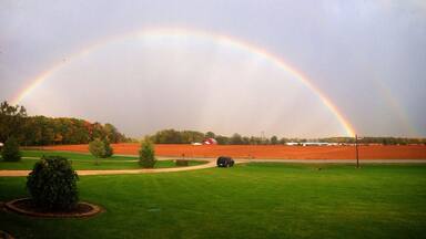 It's possible that a pot of gold may lay on either side of your driveway. #Green