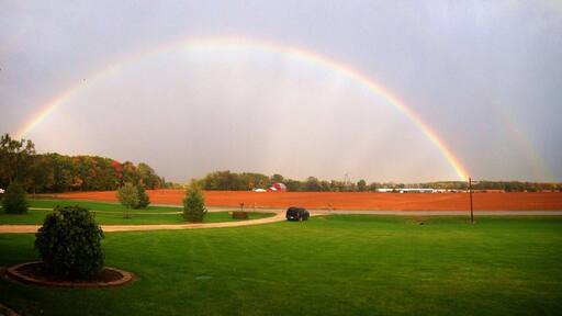 It's possible that a pot of gold may lay on either side of your driveway. #Green