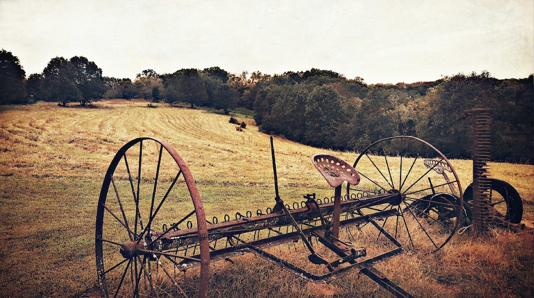 Just part of the beautiful land in the small Missouri town.