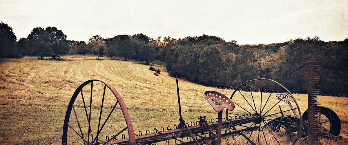 An old, rusted plow in a field with trees in the background.