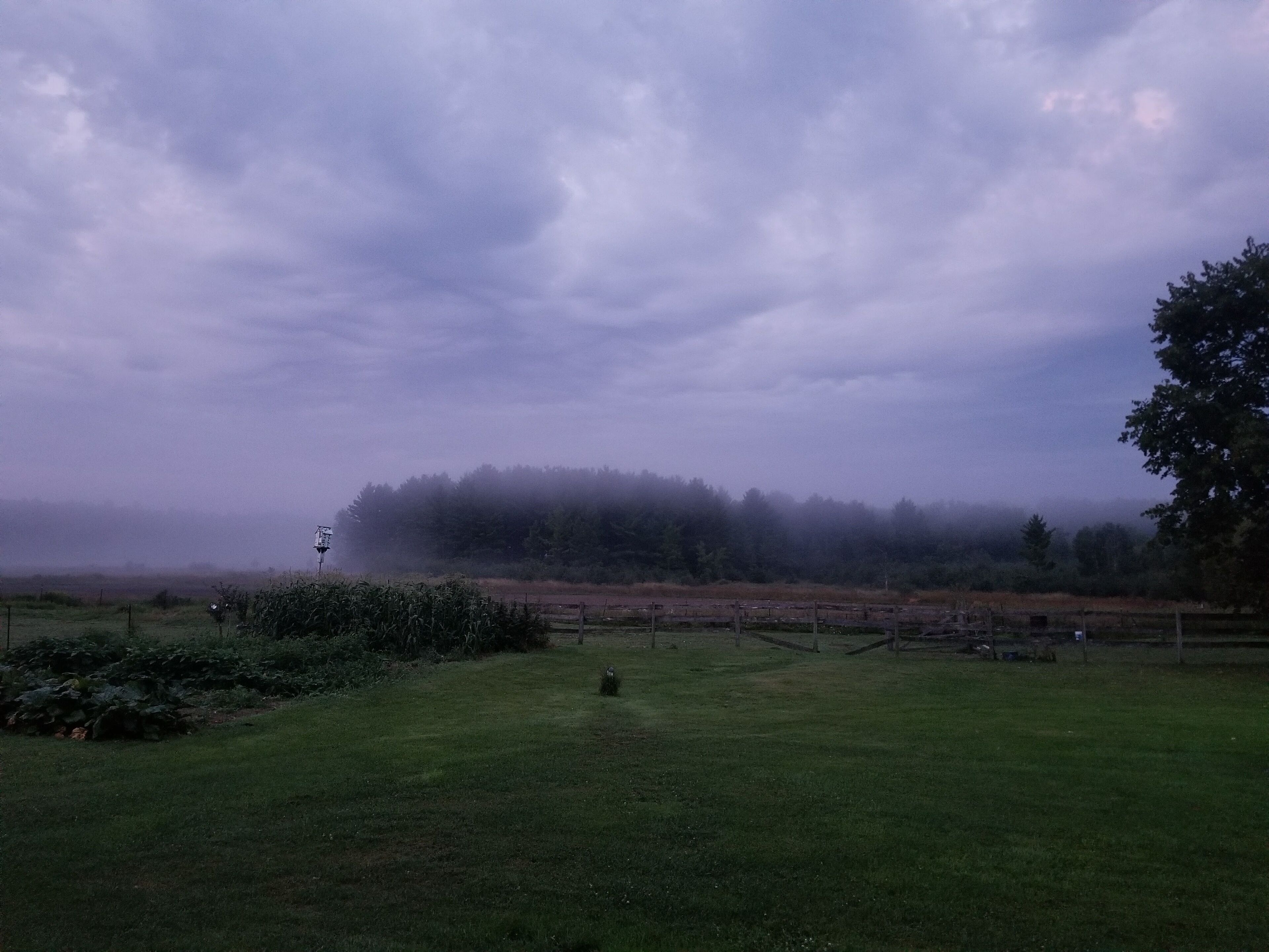 A sky full of purple clouds hanging over #Mybackyard.