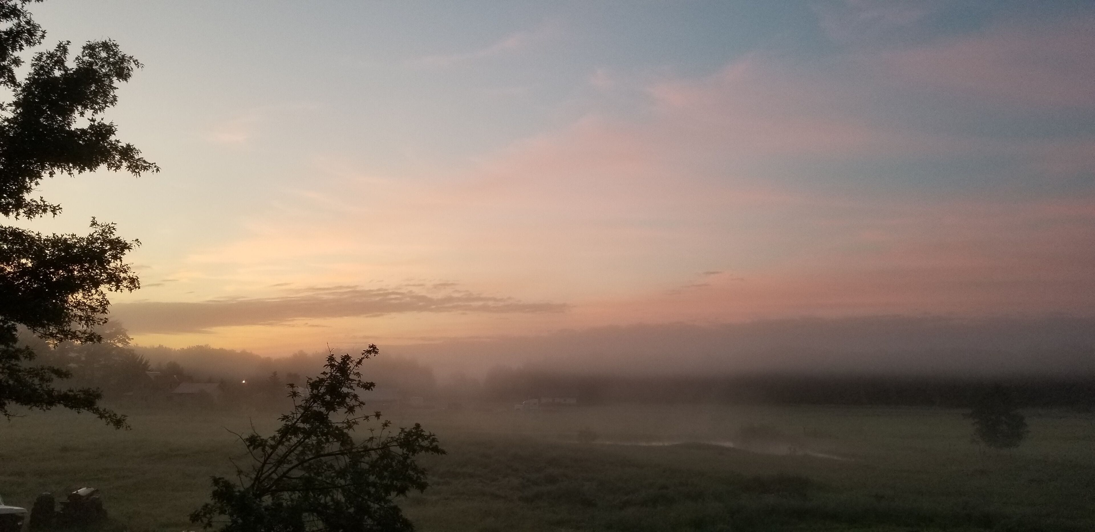 The starting of a brand new day.
Just got up to let the dogs out (so now you know who did that) and grabbed this shot off the back deck. #Mybackyard Two music references in one post, are there points for that?  🤔