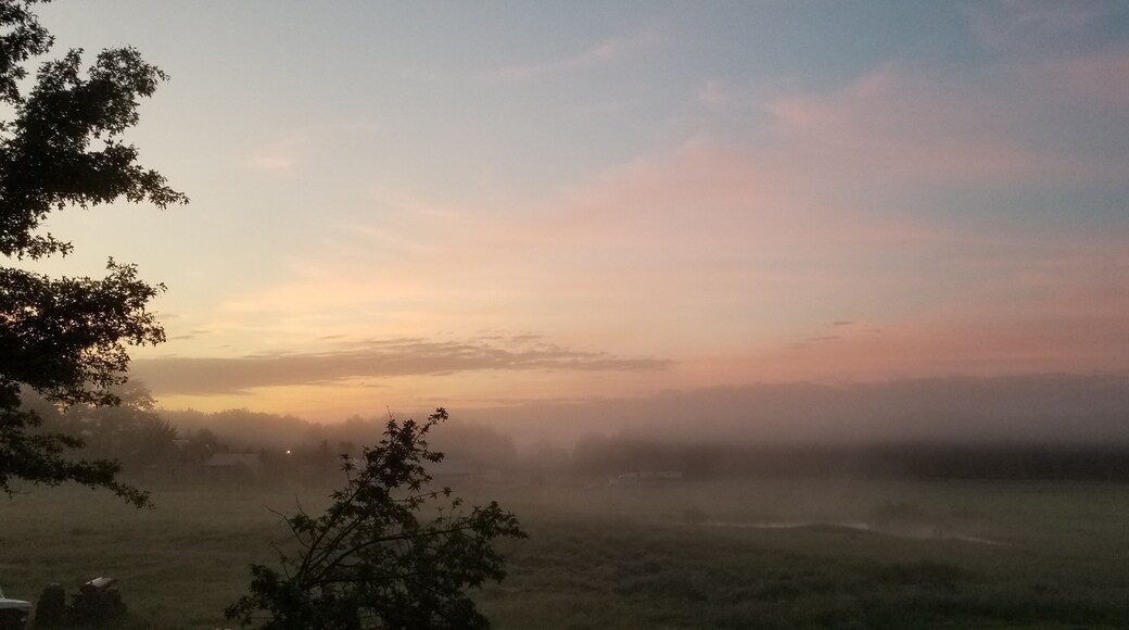 The starting of a brand new day.
Just got up to let the dogs out (so now you know who did that) and grabbed this shot off the back deck. #Mybackyard Two music references in one post, are there points for that? 🤔