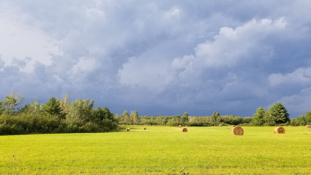 Un champ verdoyant parsemé de bottes de foin, sous un ciel nuageux.