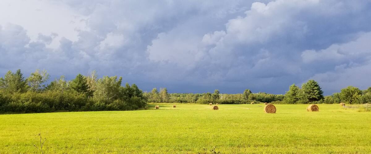 Just before a storm. #Mybackyard but really just across the road.