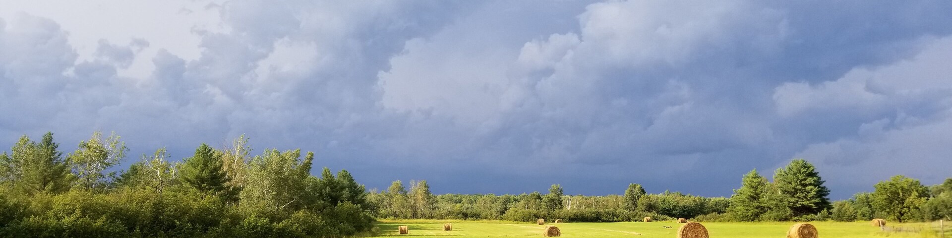 Just before a storm. #Mybackyard but really just across the road.
