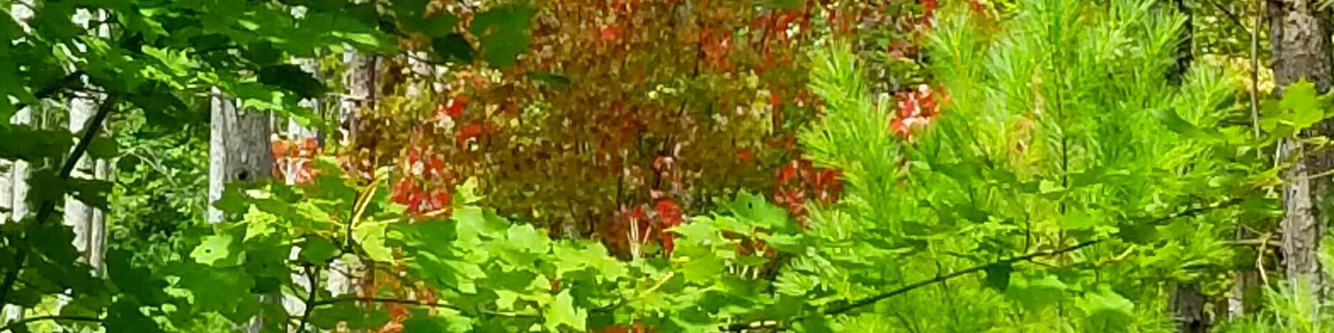 Fall is on it's way and I haven't even started my spring cleaning yet.