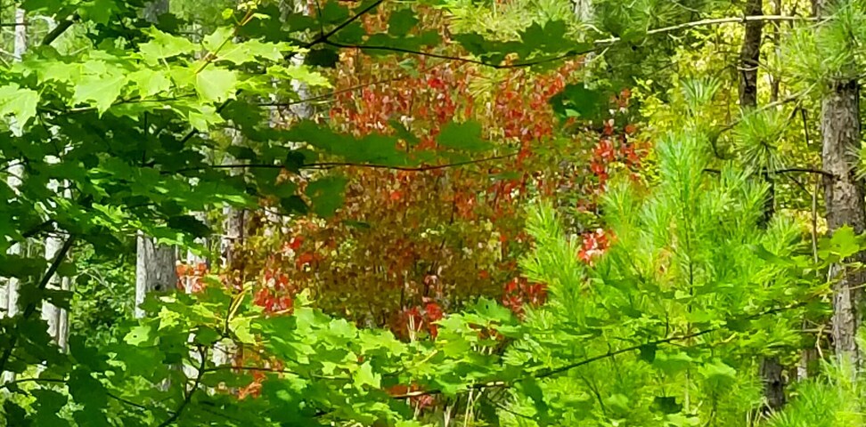 Fall is on it's way and I haven't even started my spring cleaning yet.