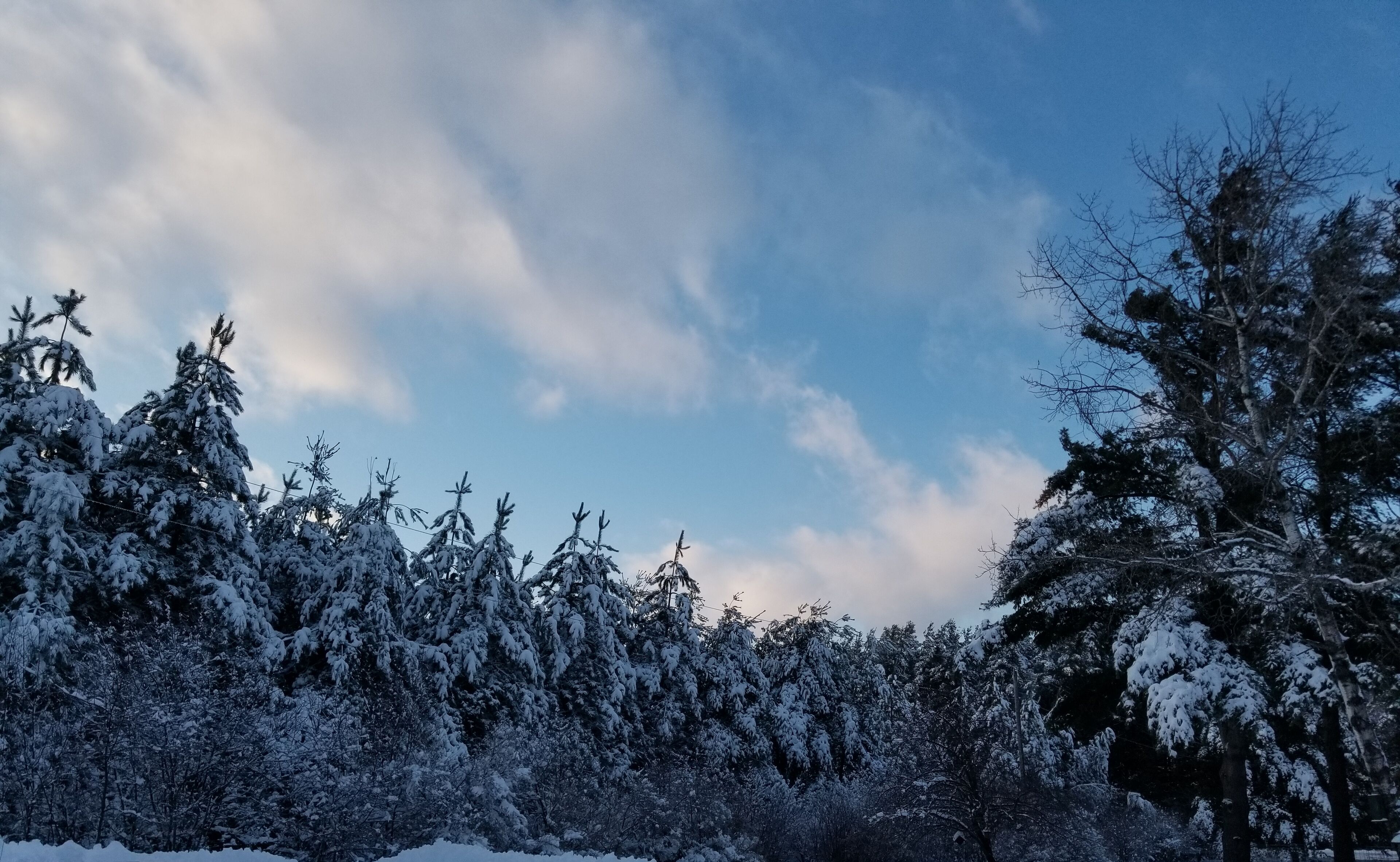 A blue sky after a heavy snow storm.