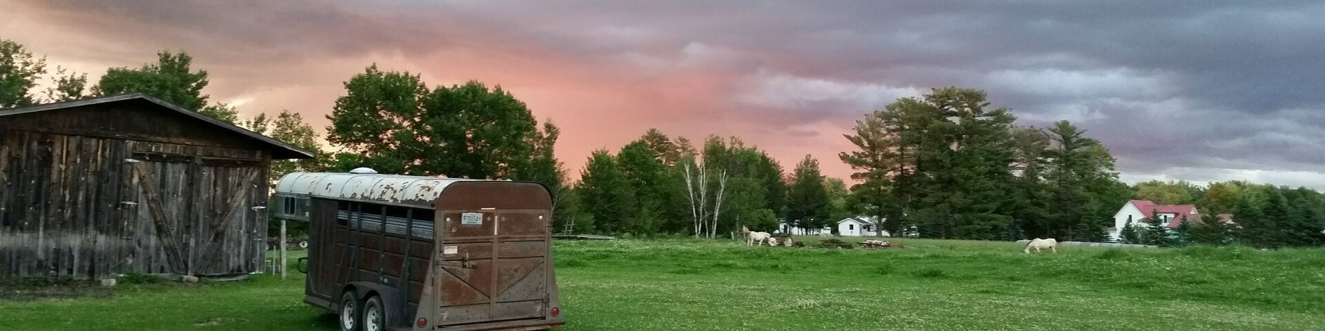 A rural landscape with a trailer, a barn, and grazing horses under a cloudy sky.