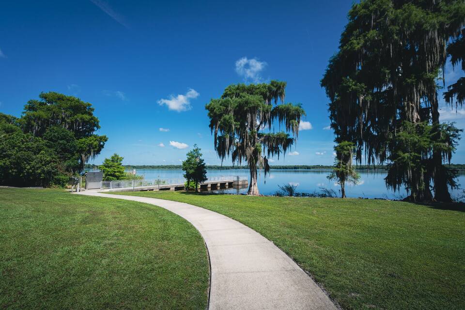 Un percorso in cemento curvo che conduce a un pontile su un lago calmo, circondato da vegetazione lussureggiante e alberi alti con barba spagnola.