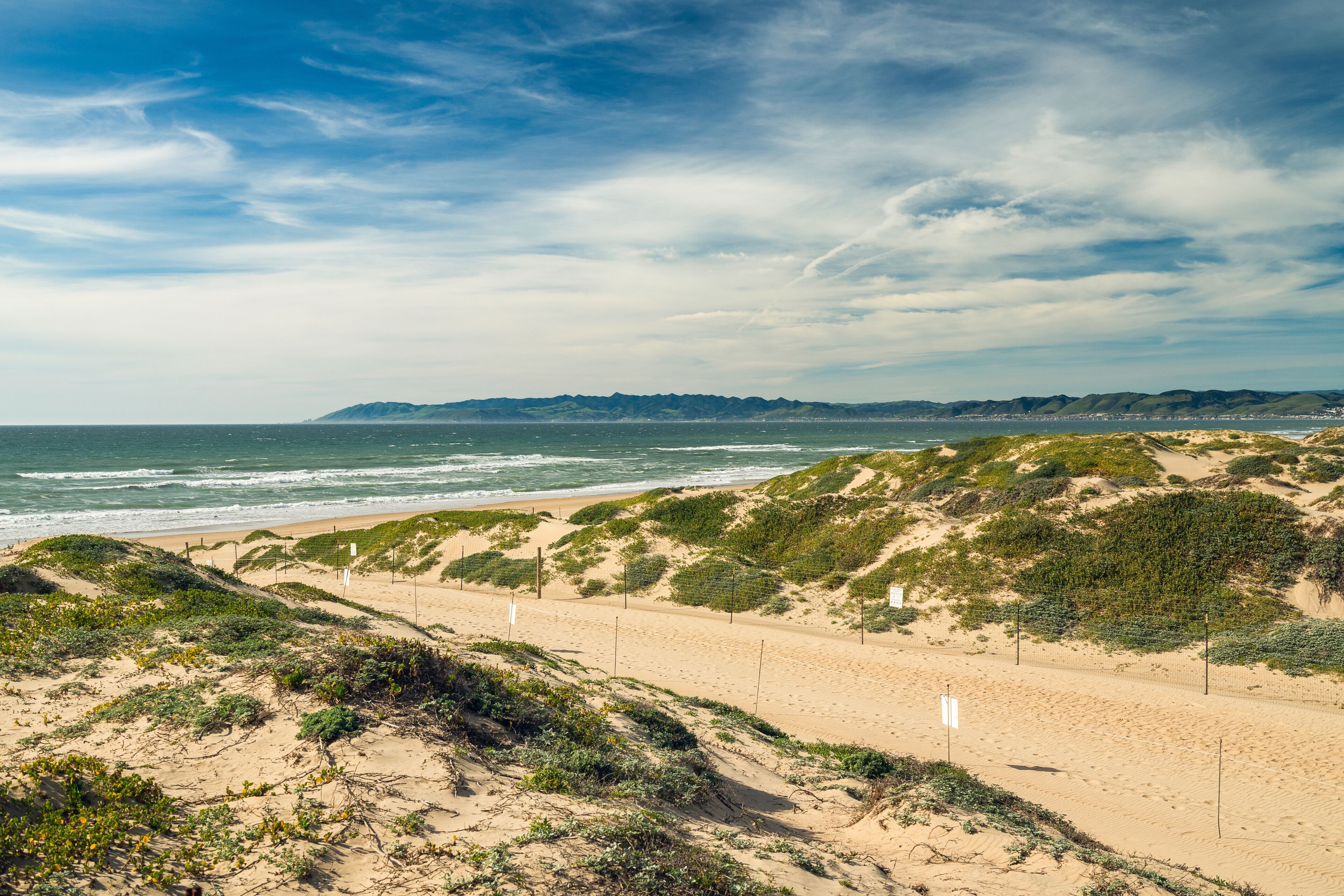 Footpath through Sand Dunes and Ocean View, Oso Flaco Lake Natural Area State Park, California