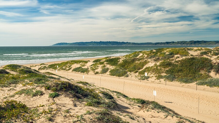Footpath through Sand Dunes and Ocean View, Oso Flaco Lake Natural Area State Park, California