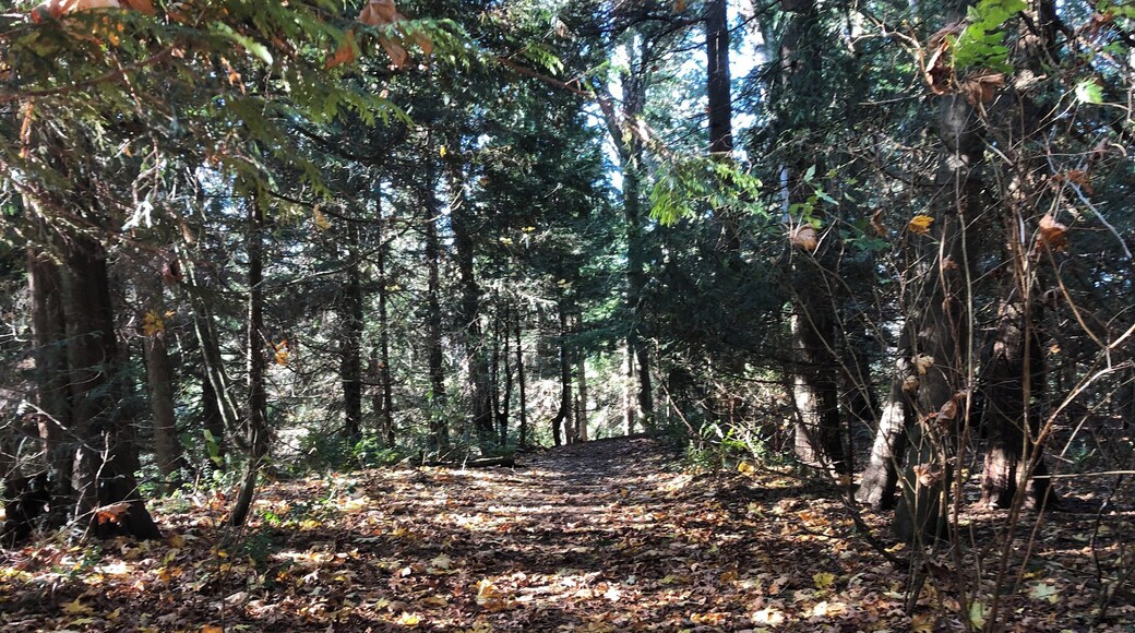 #adventure beautiful fall hike.#mybackyard