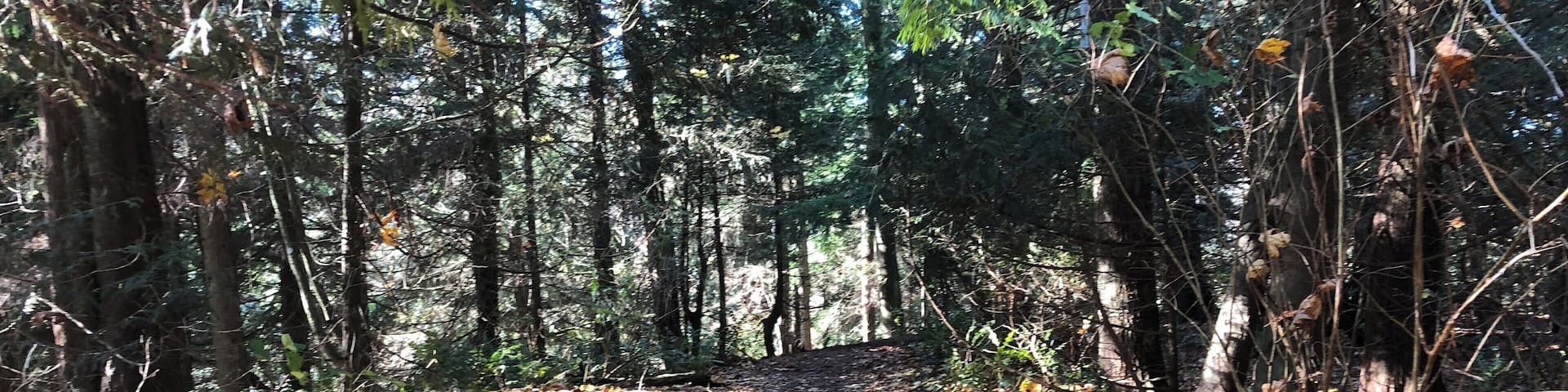 #adventure beautiful fall hike.#mybackyard