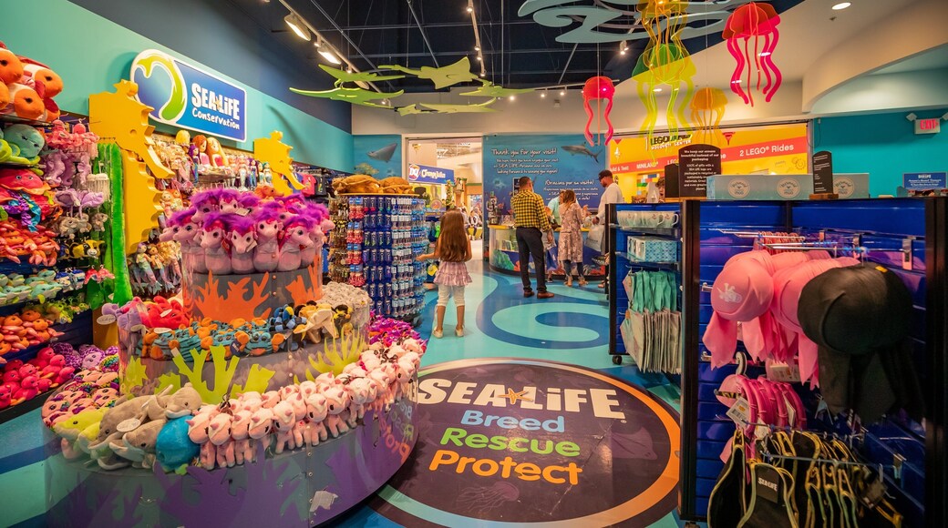 LEGOLAND Discovery Center Arizona