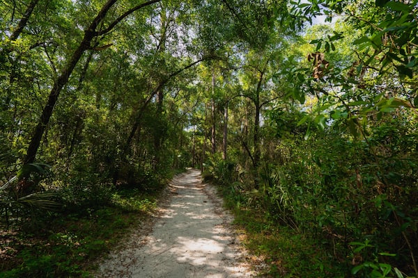 Walking nature trail at Sanlando recreation park in Altamonte Springs, a suburb of Metro Orlando in Florida