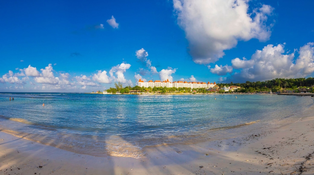 Playa de la Bahía Runaway